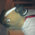 userAvatar