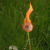 KiwiiKat