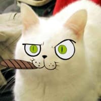 Pois0nedthewell