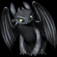 rowanbluedragon