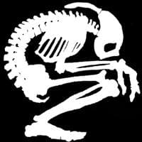 jackospade