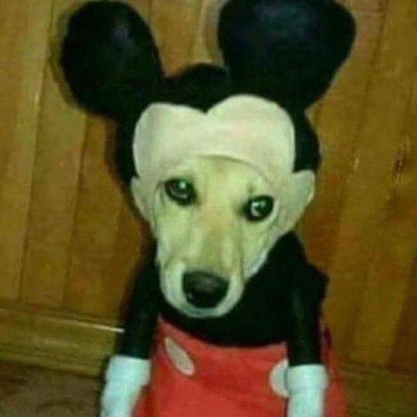 meccabink