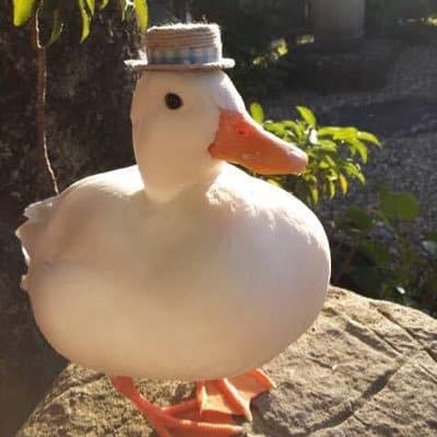 FilmDuck