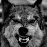 lone-wolf