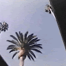 prdsexe
