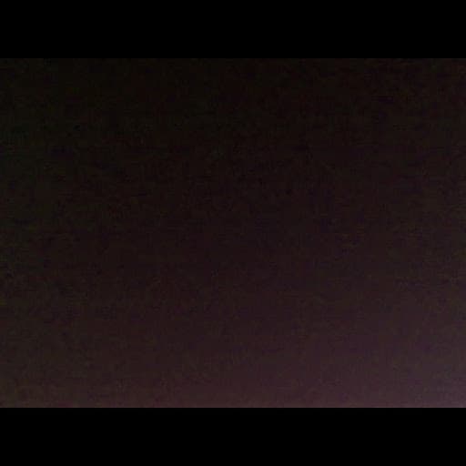 joshuastein11