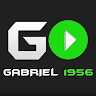 gabrielpalmeiras366