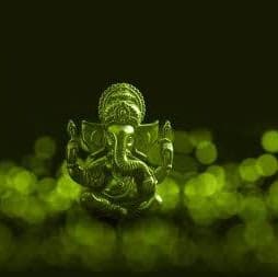 rajnimarkhande