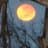 lapple_du_vide