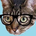 streakygeek