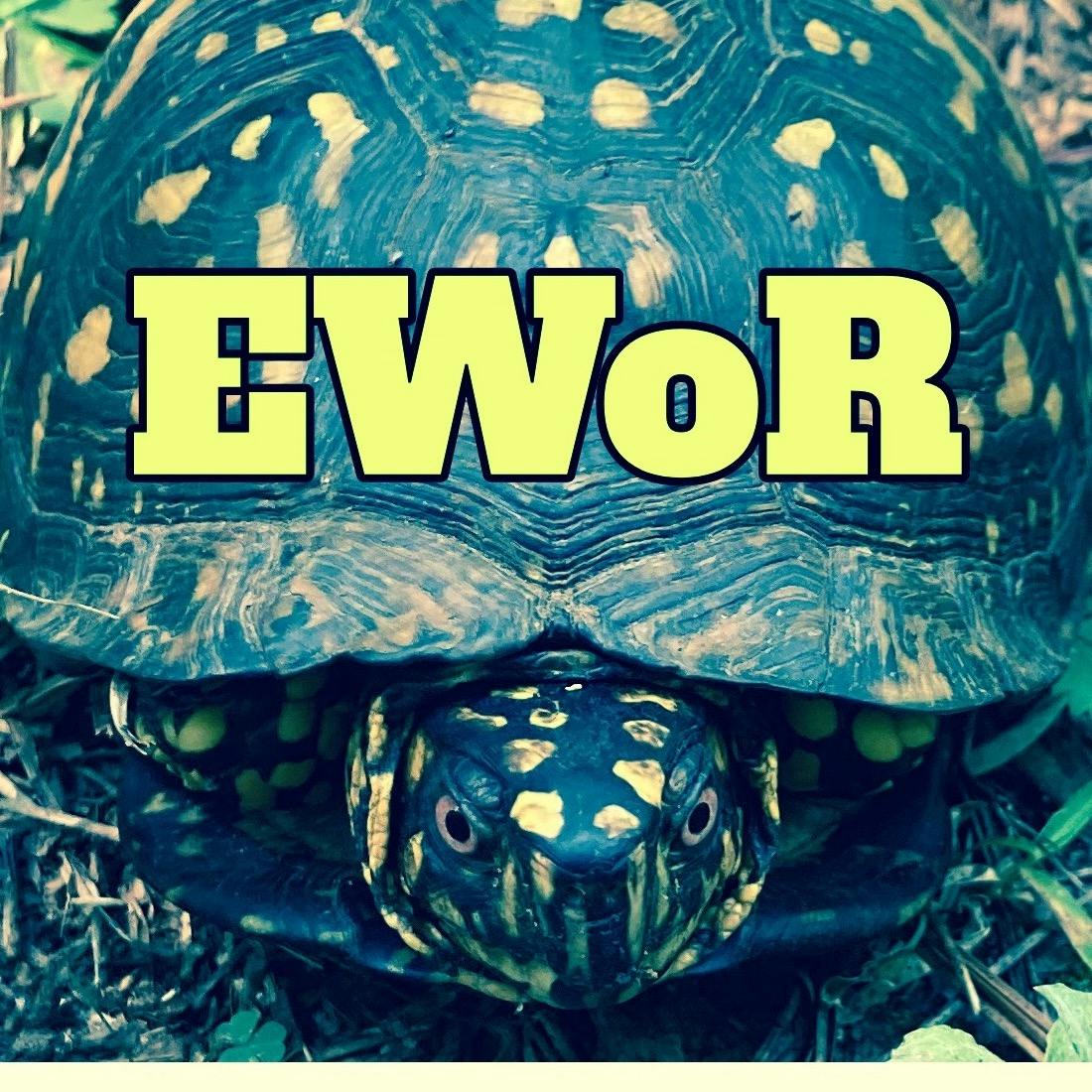 EWoR_WA